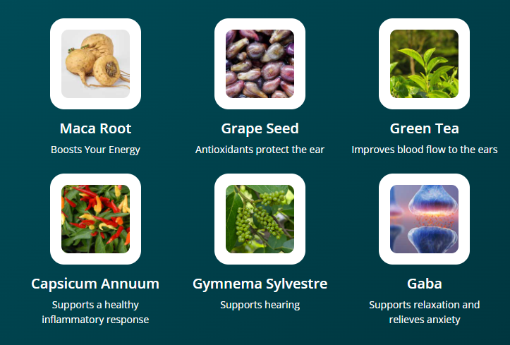 AudiFort Ingredients